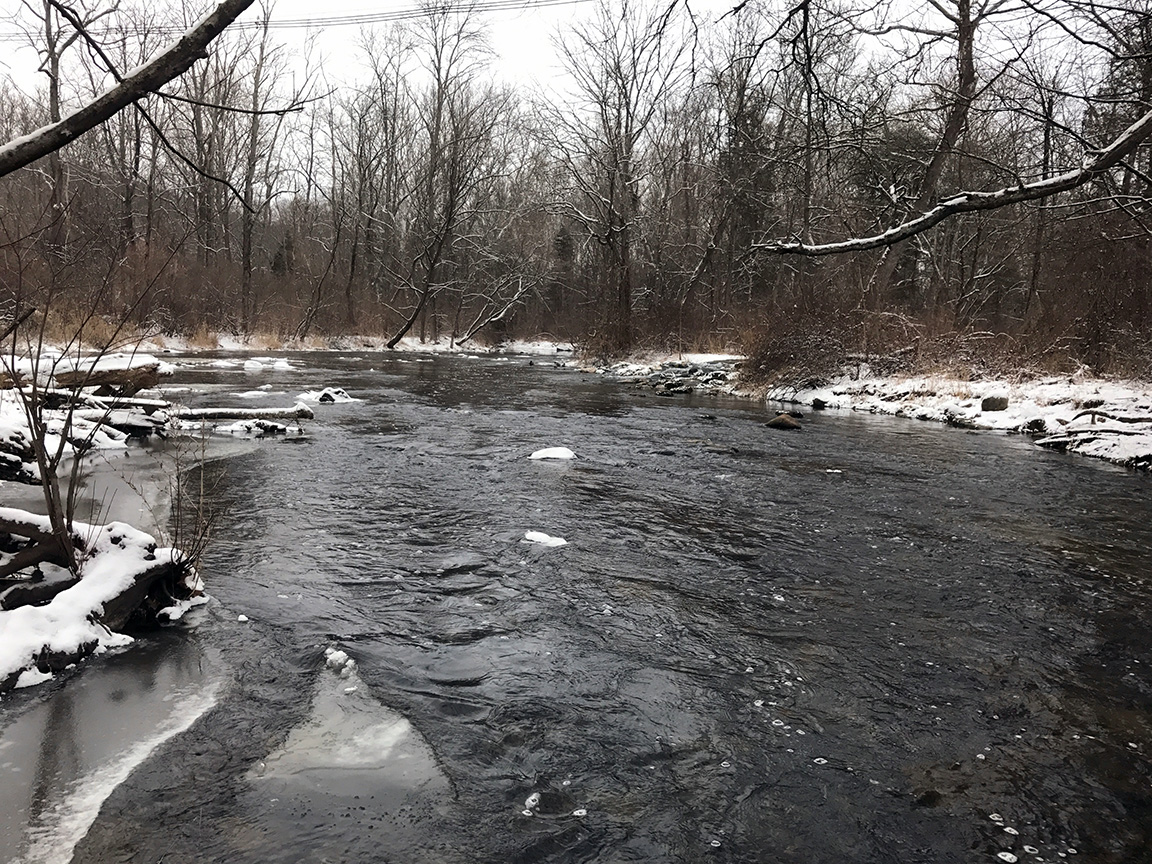 Looking upriver on the Pequest just below the hatchery outflow.