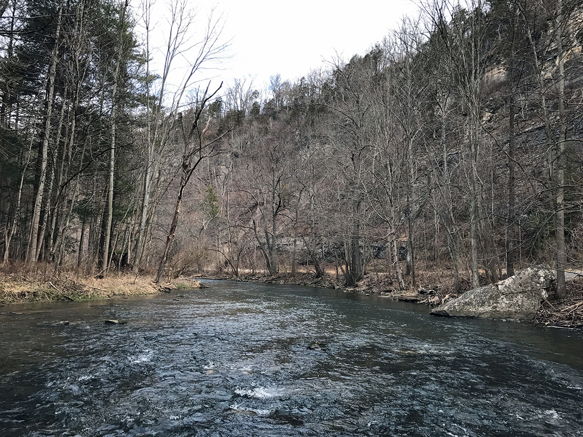 Looking downstream in Spring Creek Canyon.