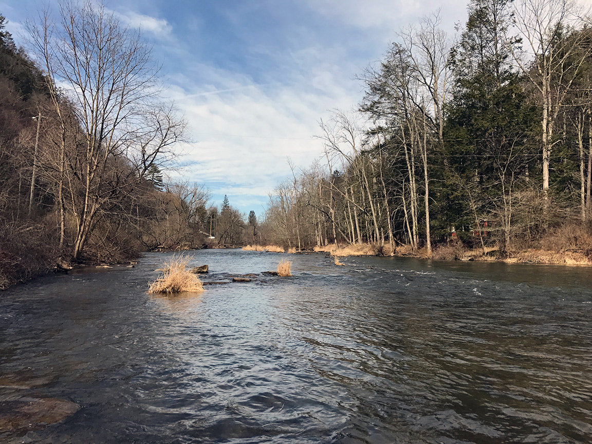 Looking upstream on Penns Creek along Tunnel Road.