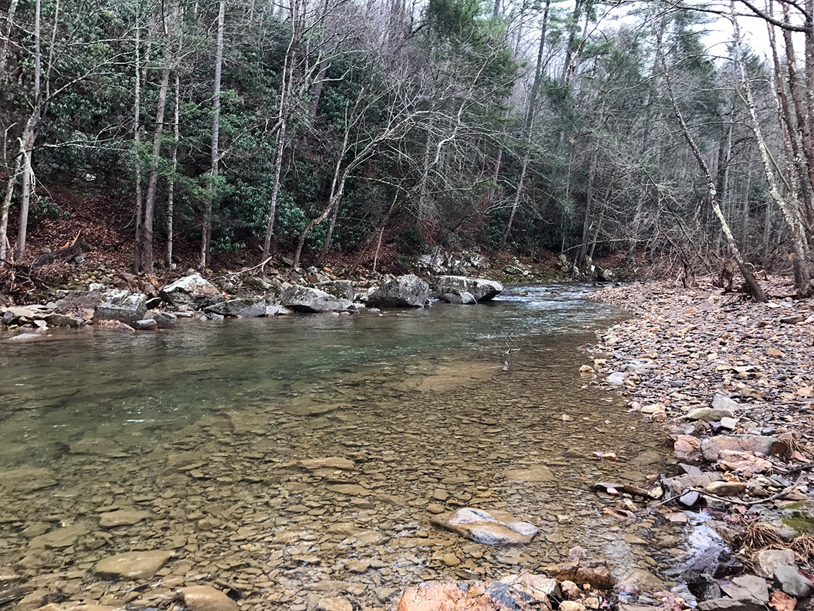 One of the beautiful clear riffles on Dunlap Creek.