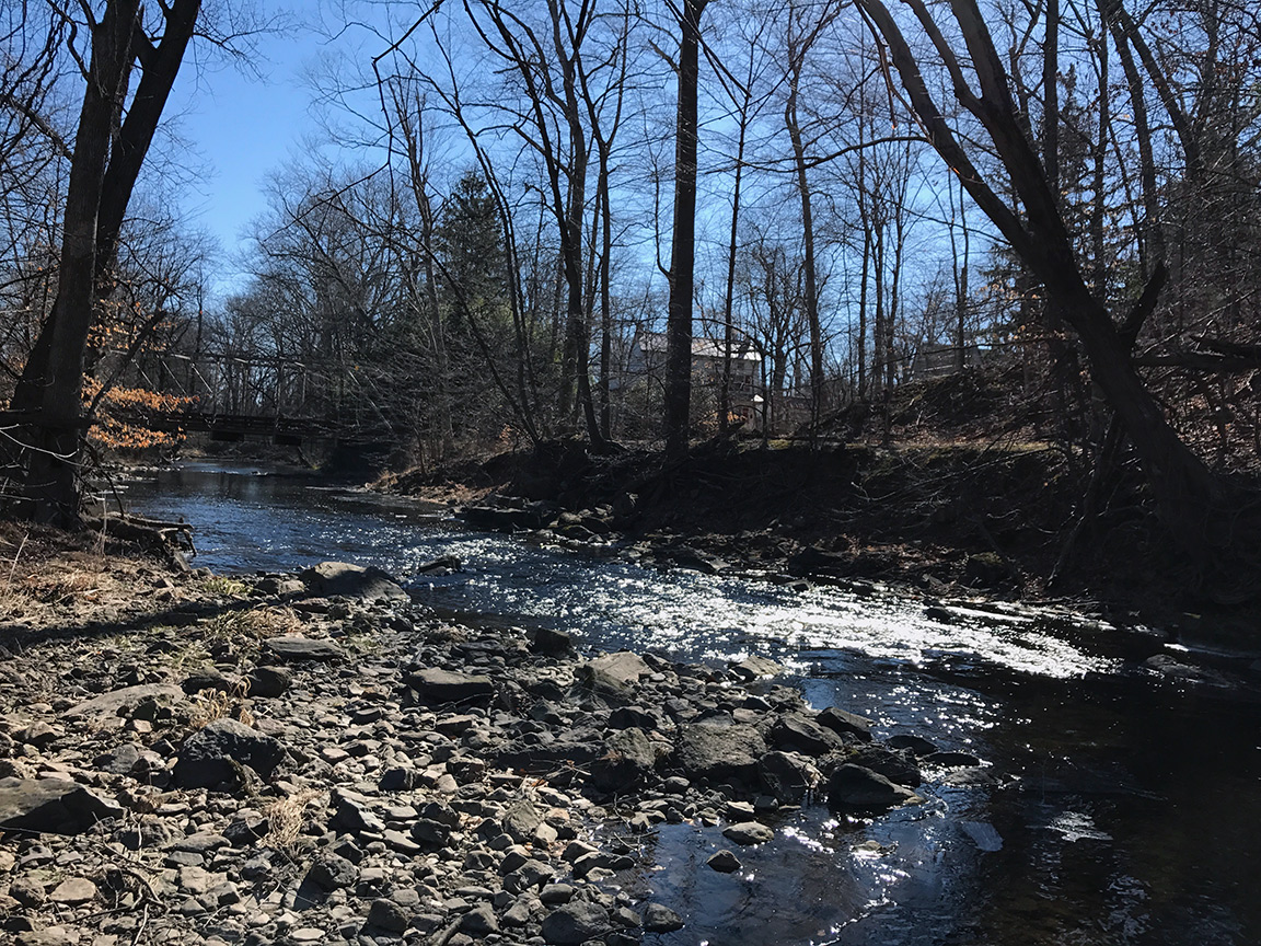 The low water on French Creek above Sheeder Mill Bridge.
