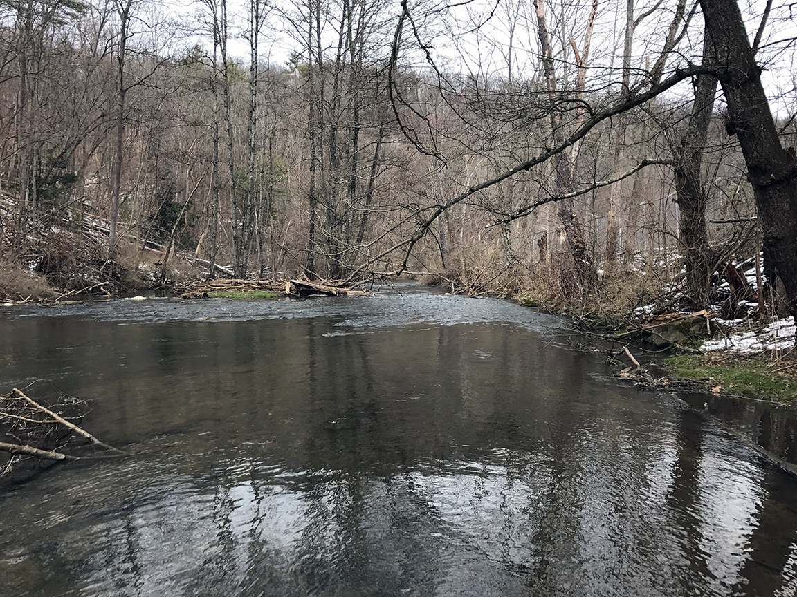 Looking downstream on Spring Creek below Benner Spring.