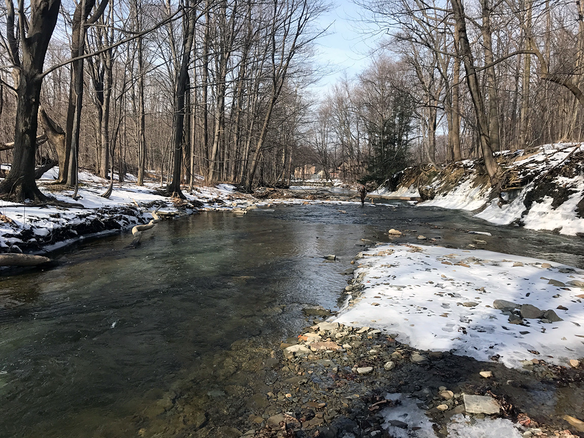 The "green water" flowing downstream on 16 Mile Creek