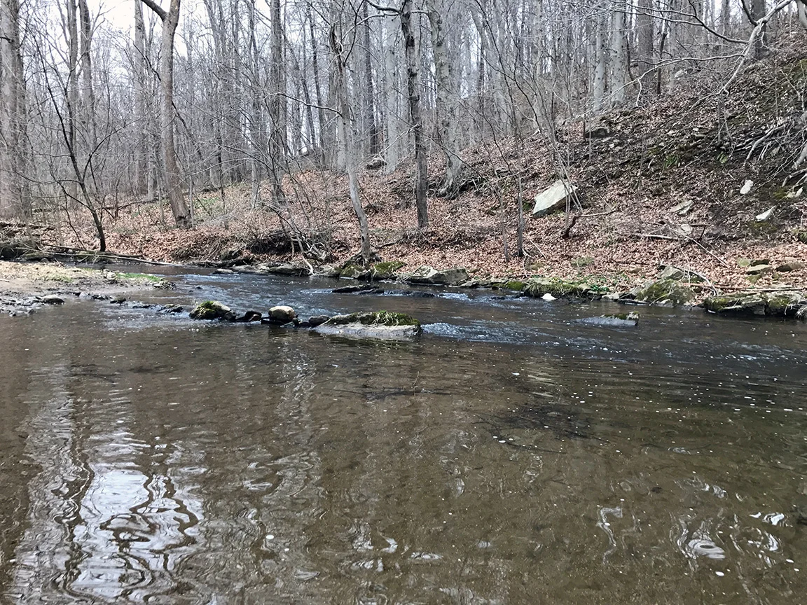 A beautiful clear run on Middle Branch White Clay Creek.