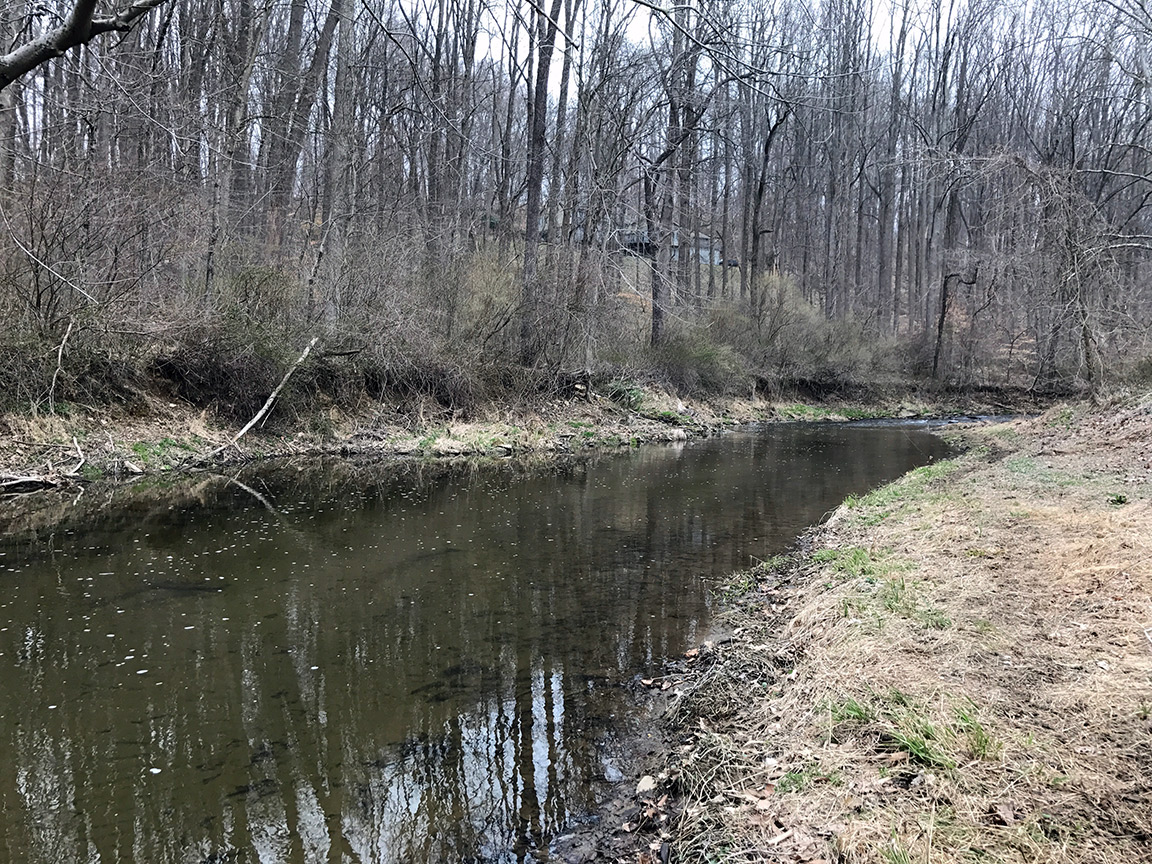 A view of one of the slower pools on the creek.