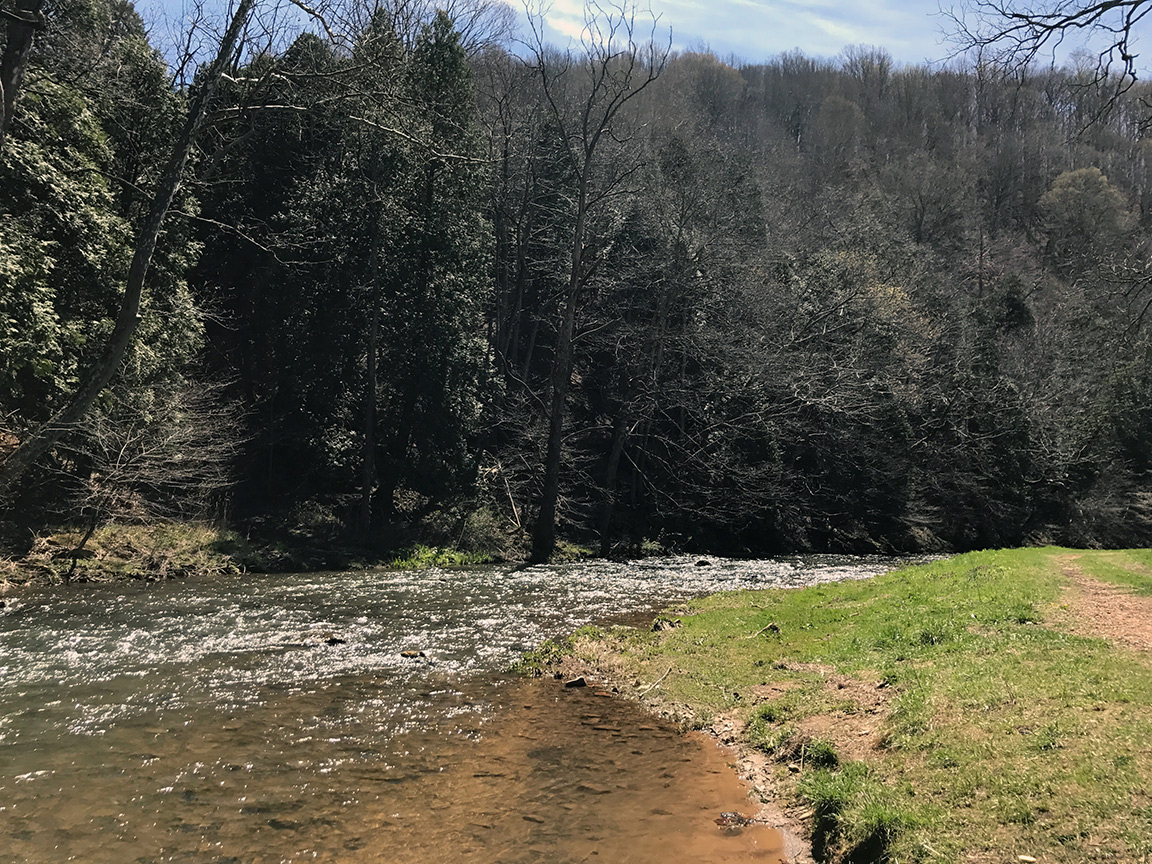 Looking upstream on Cripple Creek.