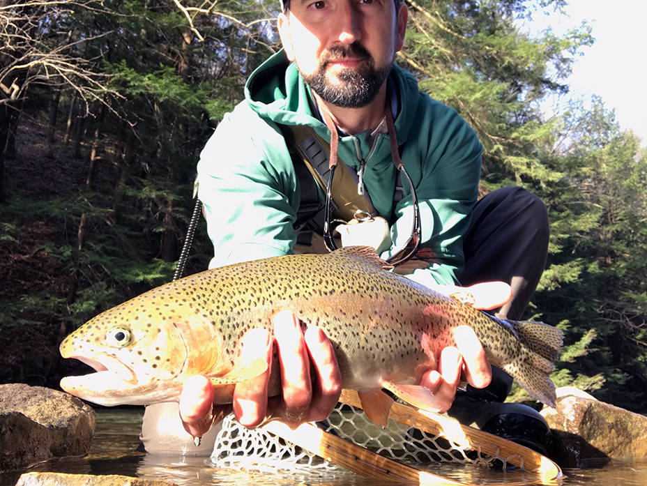 The first rainbow I caught at the club on Saturday morning.