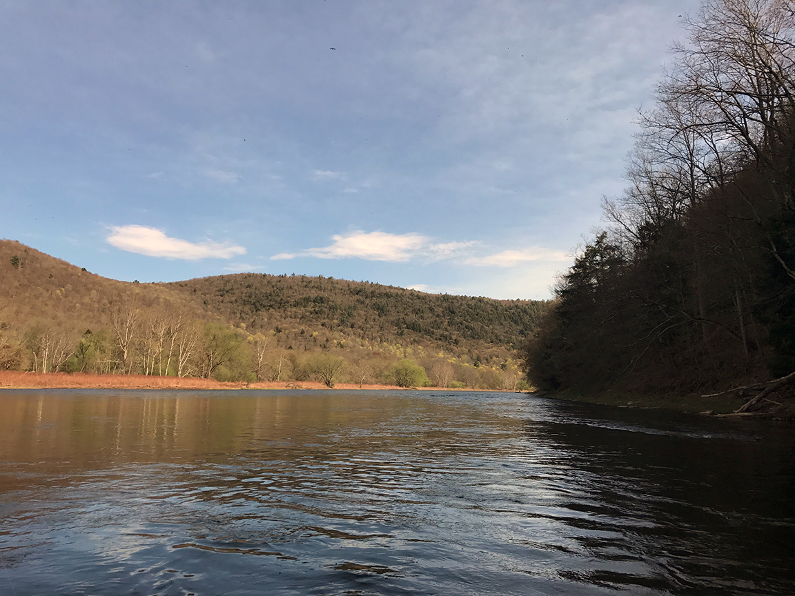 Looking downriver on the Main Stem of the Delaware River on Friday morning.