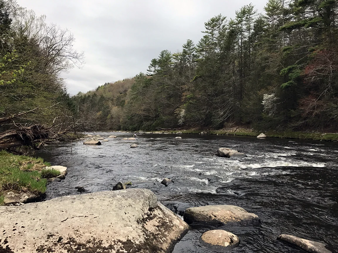 Looking downriver in the Neversink River Gorge.