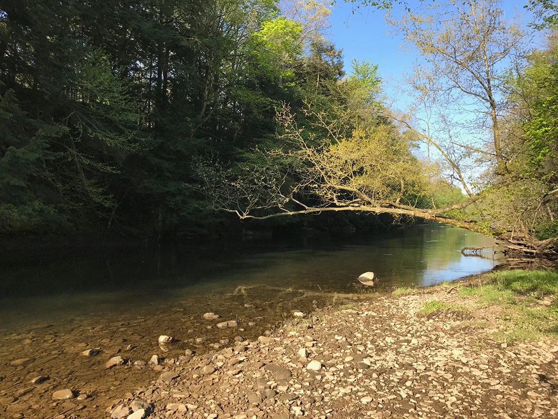 The view on the Neshannock Creek where I started fishing on Saturday morning.
