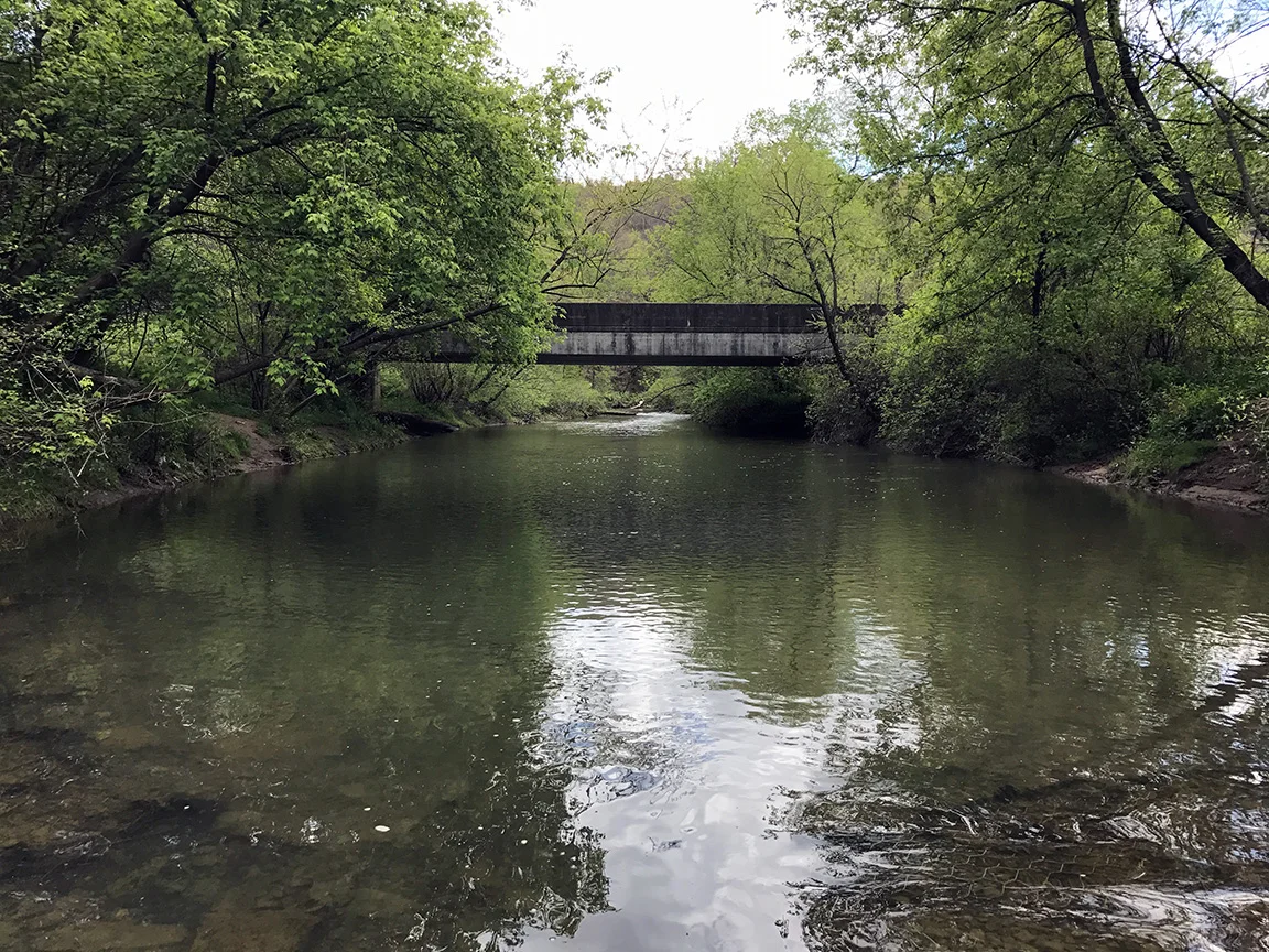 Looking upstream on the Buffalo Creek.