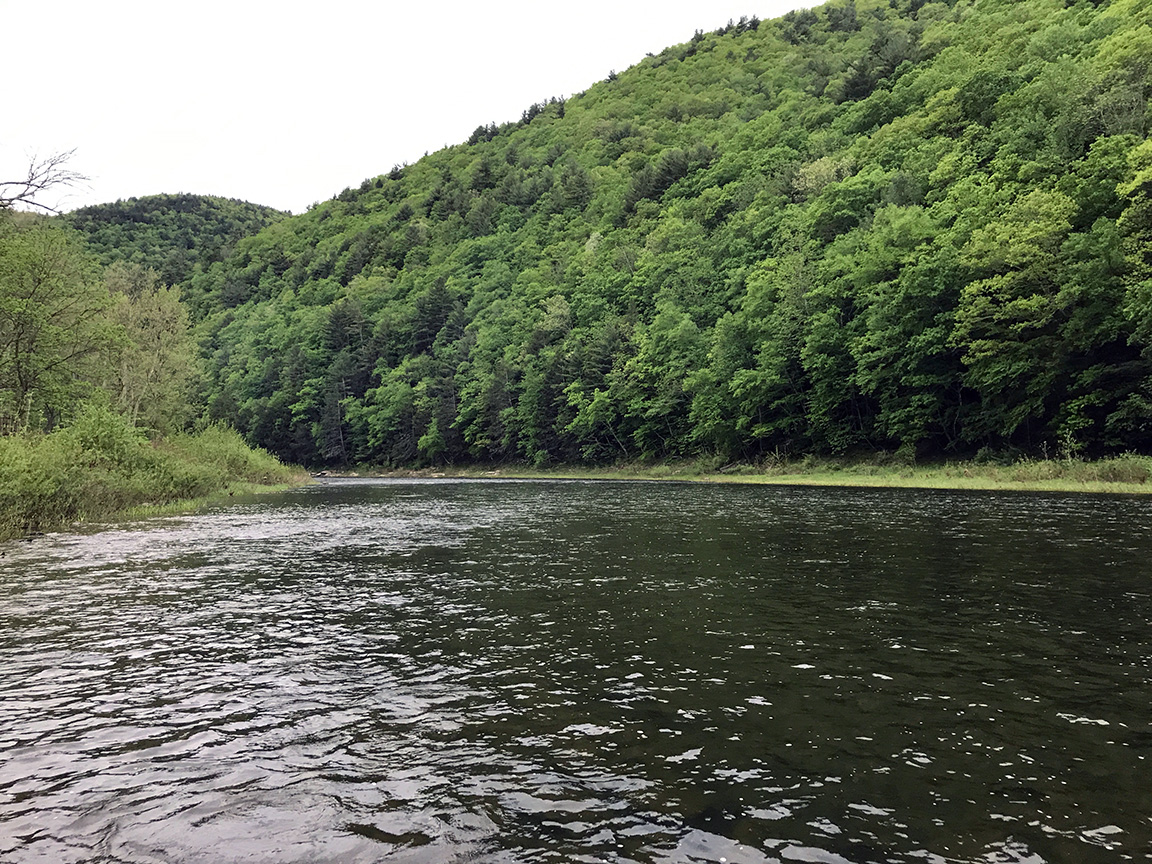 Standing in Pine Creek at the Black Walnut Bottom access.