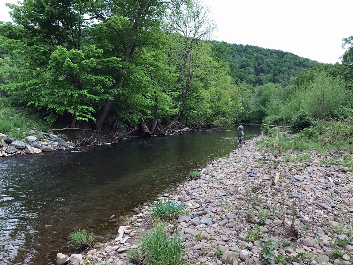 Mike Mamrak fishing the long run on the Muncy Creek.
