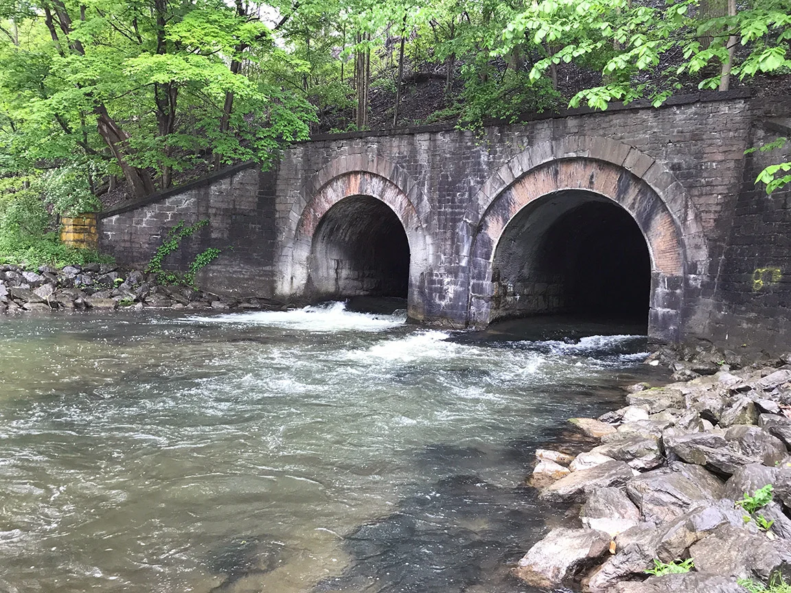 The first run I fished on Ninemile Creek.