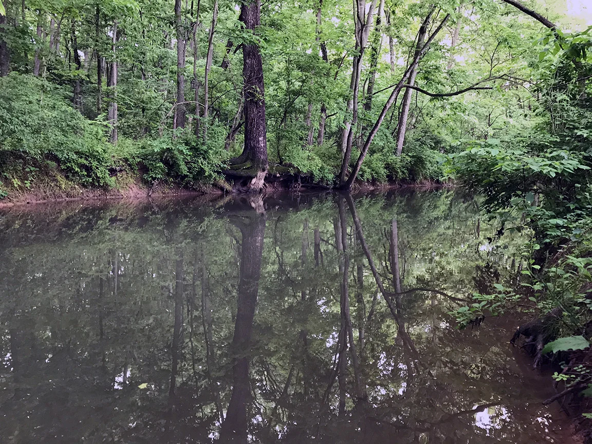The deep section that Jon first brought me to on Donegal Creek.