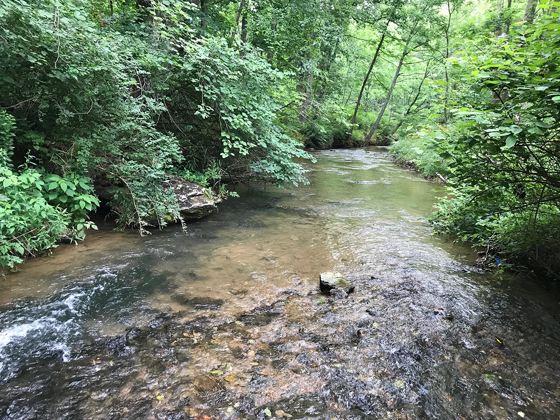 The summertime view on East Branch Codorus Creek.