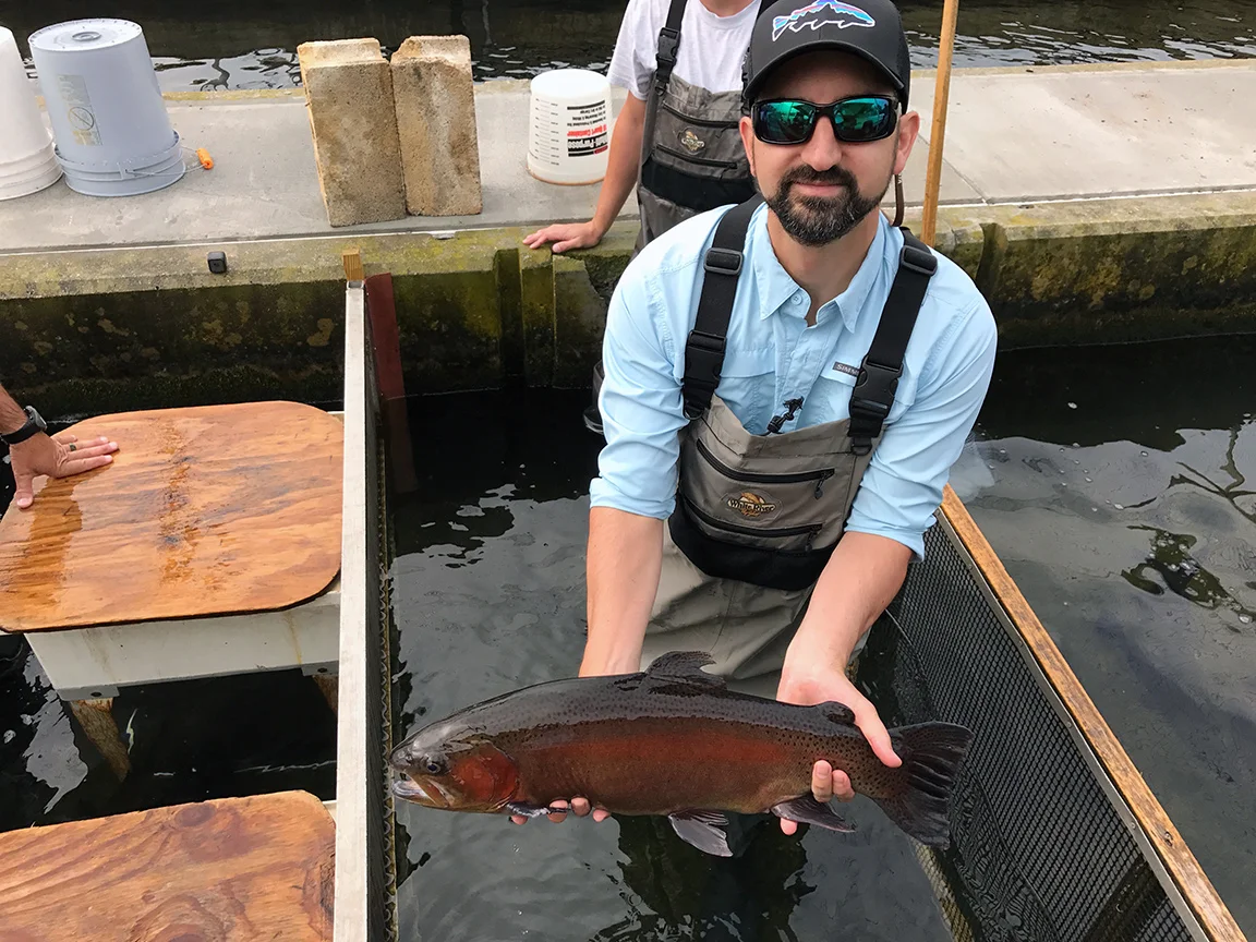 One of the large 2-1/2 year old brood trout that will eventually be stocked in a Keystone Select water.
