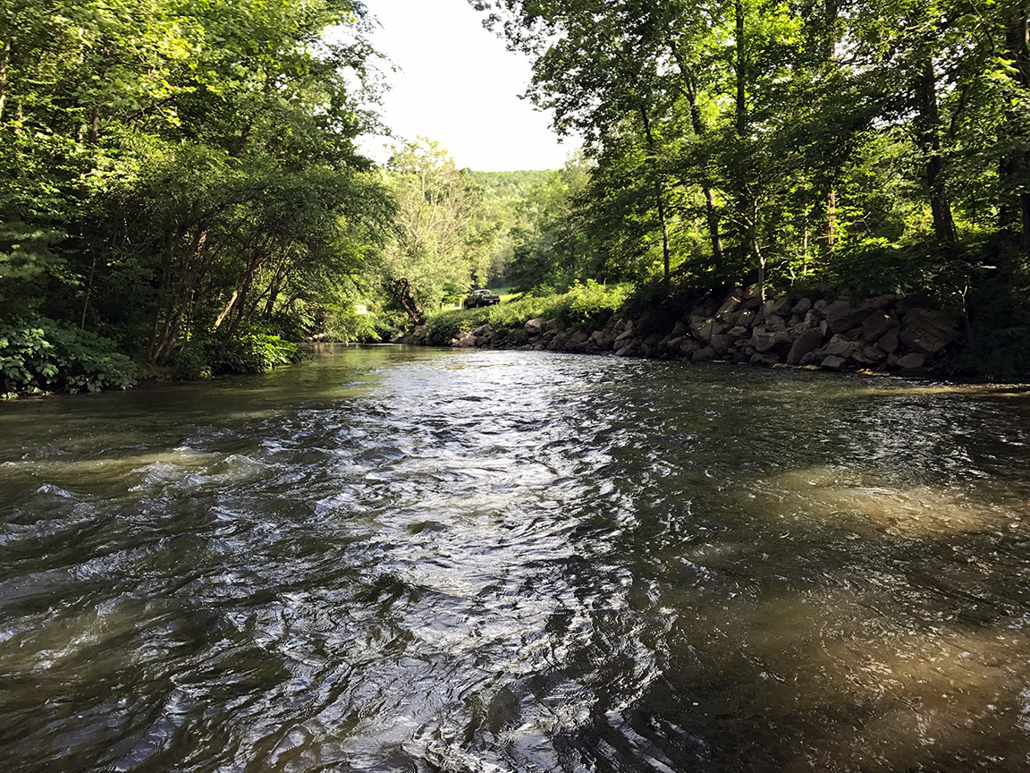 The Little Schuylkill River flowing well for late July.
