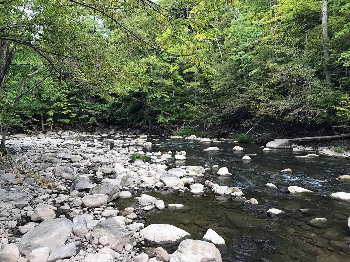 My first look at the Chittenango Creek.