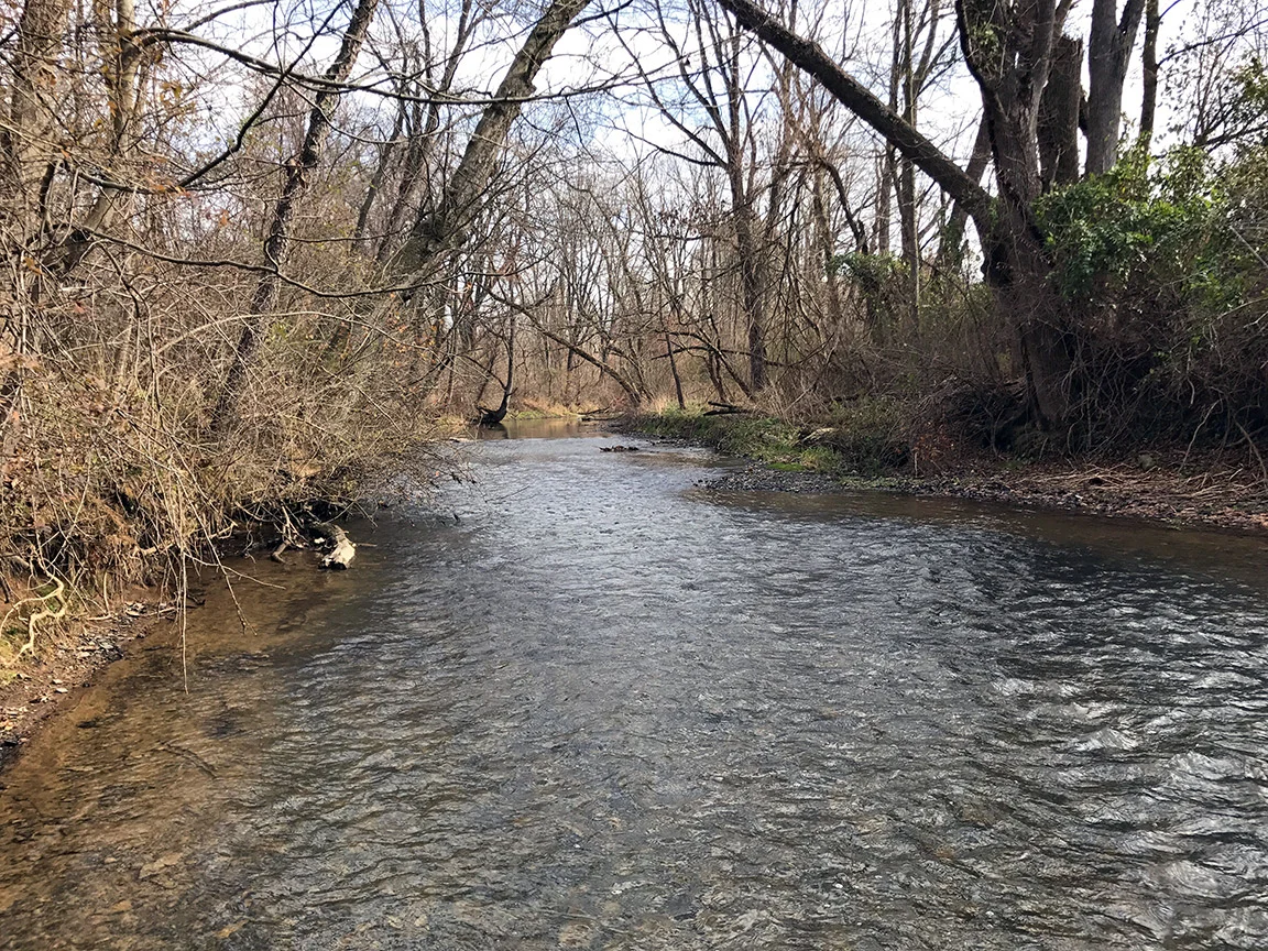 Looking upstream on Codorus Creek just below the Brown Road access.