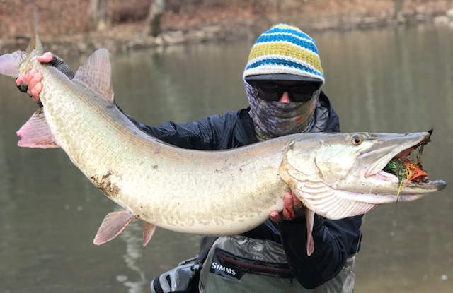 GUEST POST: December Super Moon And Giant Allegheny River Muskies — Wooly  Bugged