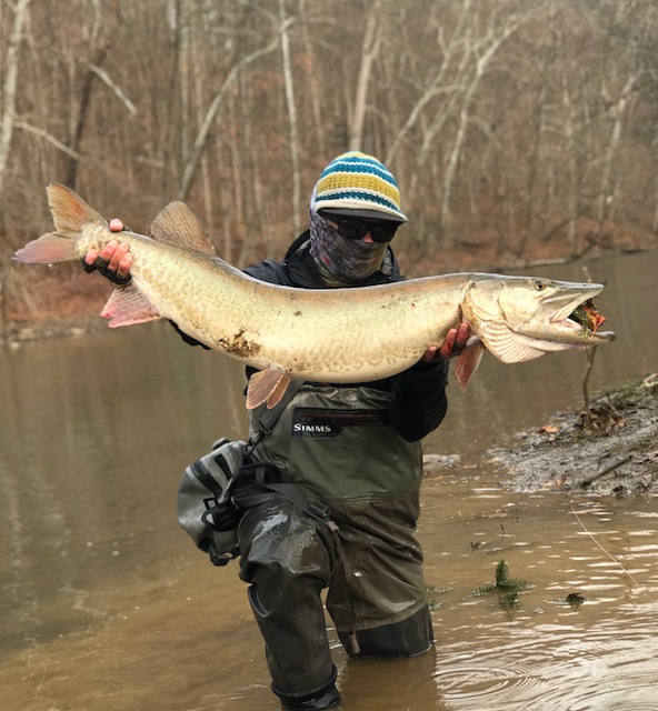 GUEST POST: December Super Moon And Giant Allegheny River Muskies — Wooly  Bugged
