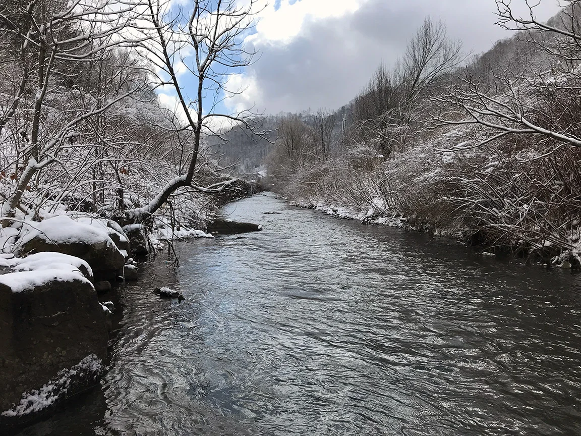 The first run I fished on the Elkhorn Creek.