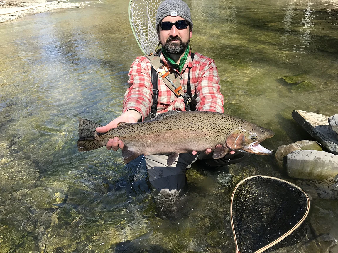 Here's A Toast To Spring Run Erie Steelhead