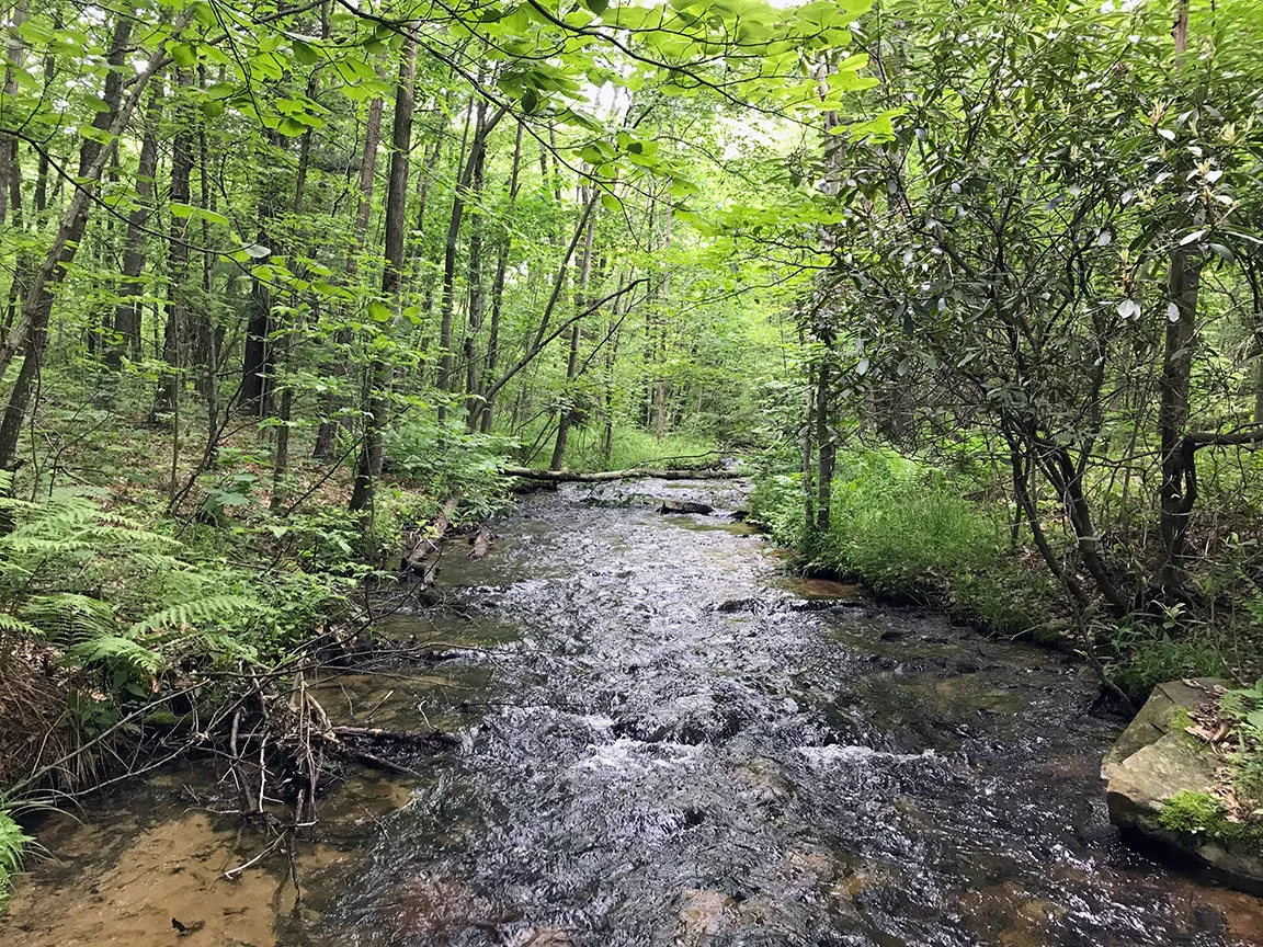 My first view of Tomtit Run in Centre County, Pennsylvania.