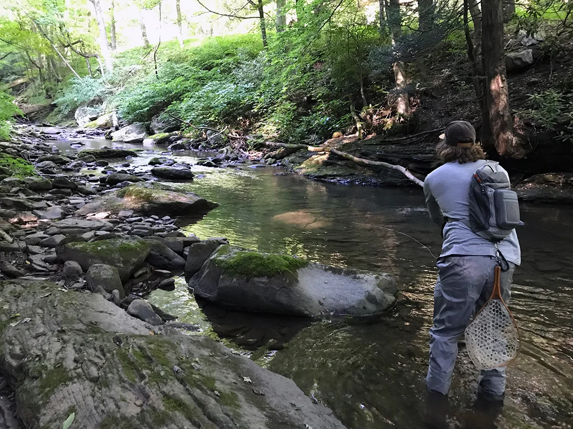 The pool Brad and I started our day fly fishing at.