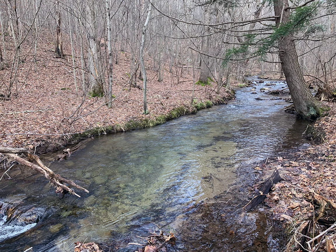 The unnamed tributary that I found holds wild brook trout on State Game Lands 187.