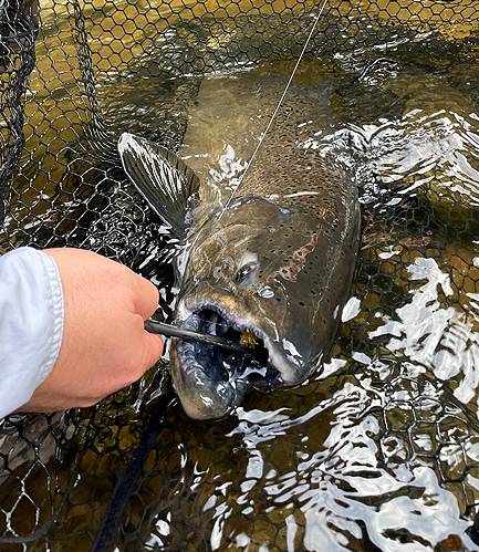Fly Fishing The Salmon River In New York: Part 2 - Gear To Use