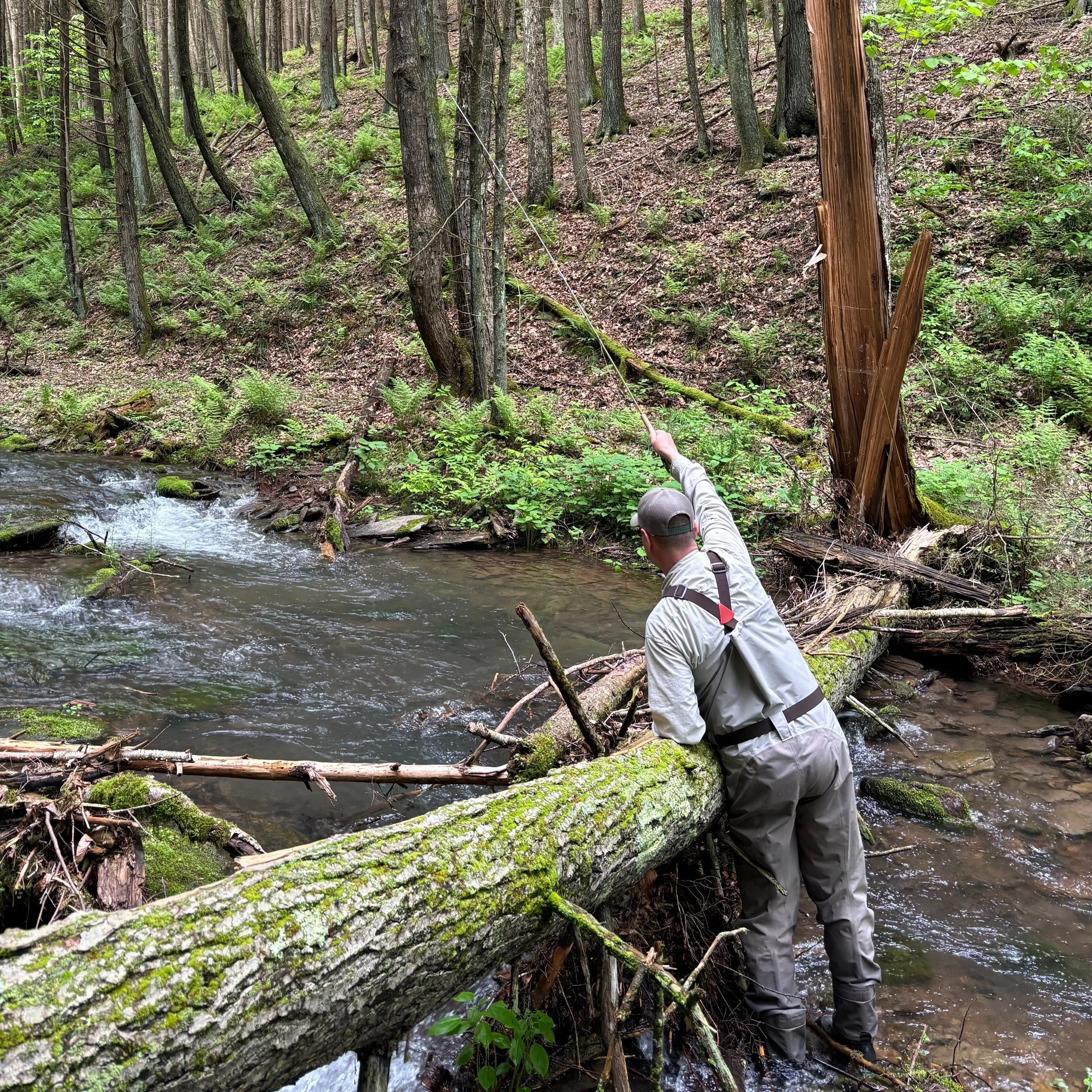 A Simple Four-Fly Approach to Targeting Wild Trout in the Northeast