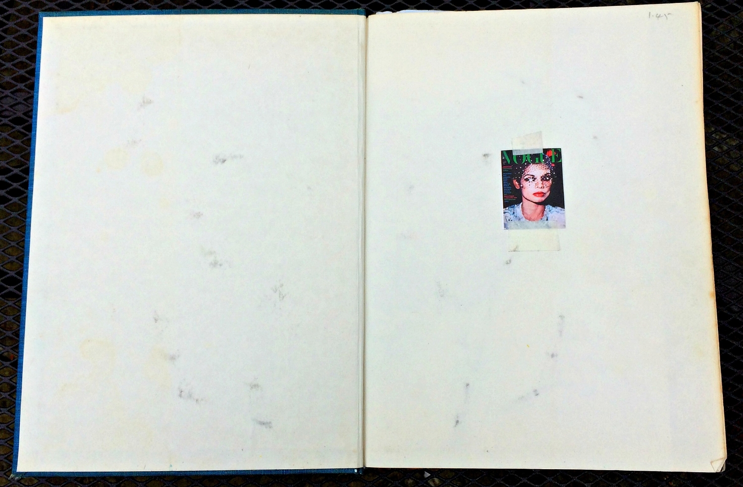 Altered Book (Disco Dance Moves): Bianca Jagger