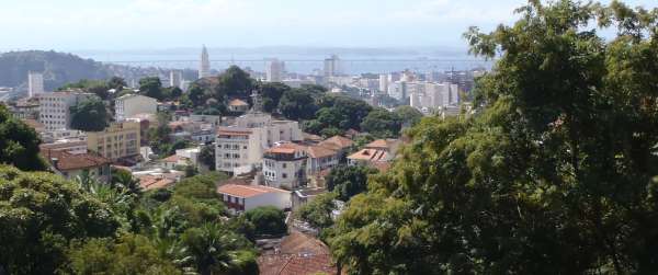 View from a Window-Santa Teresa.jpg