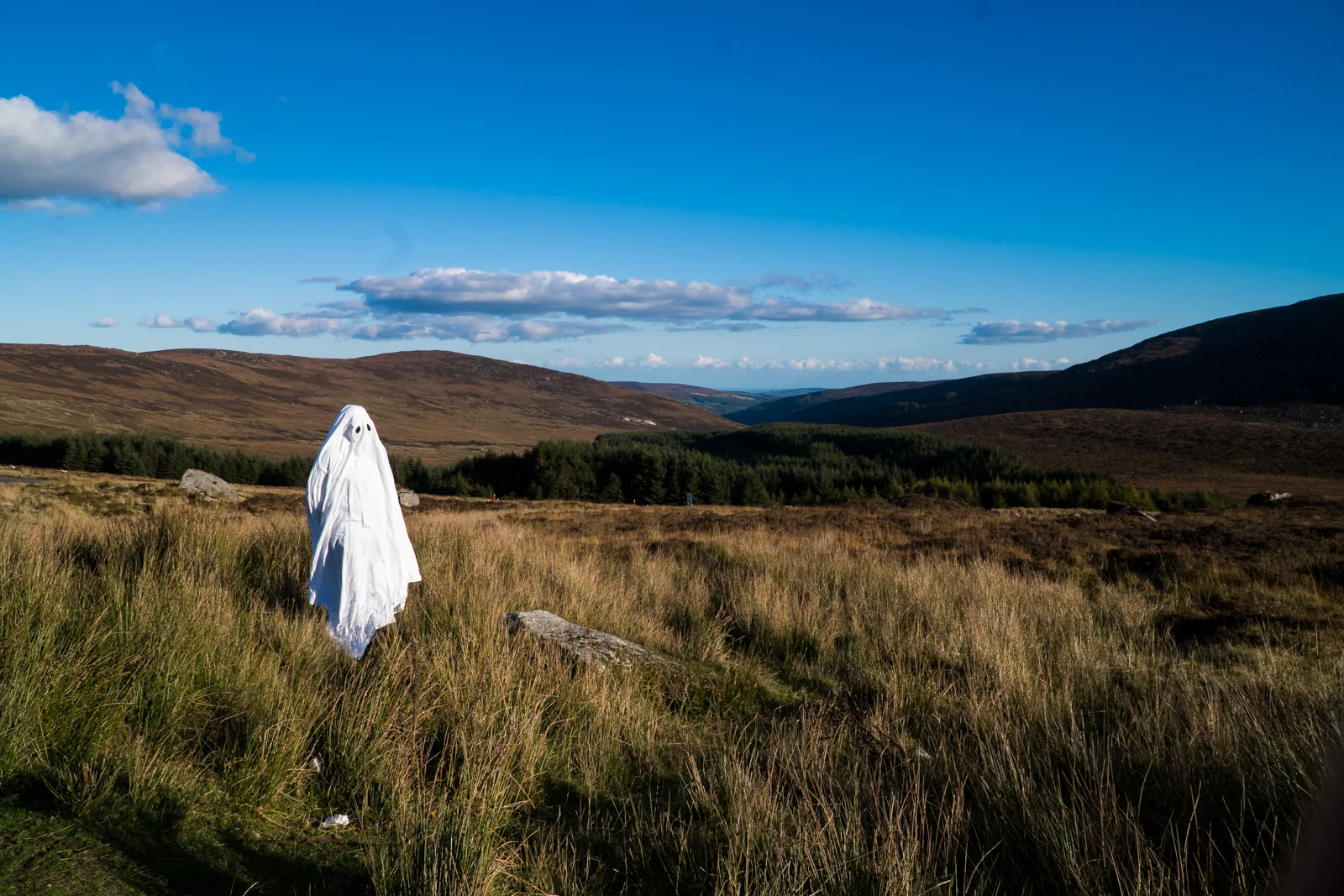 GhostsofIreland18-web-3.jpg