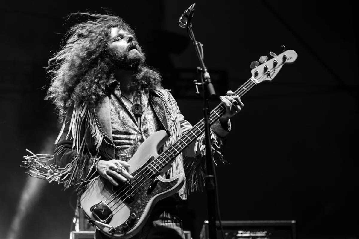 The Sheepdogs
