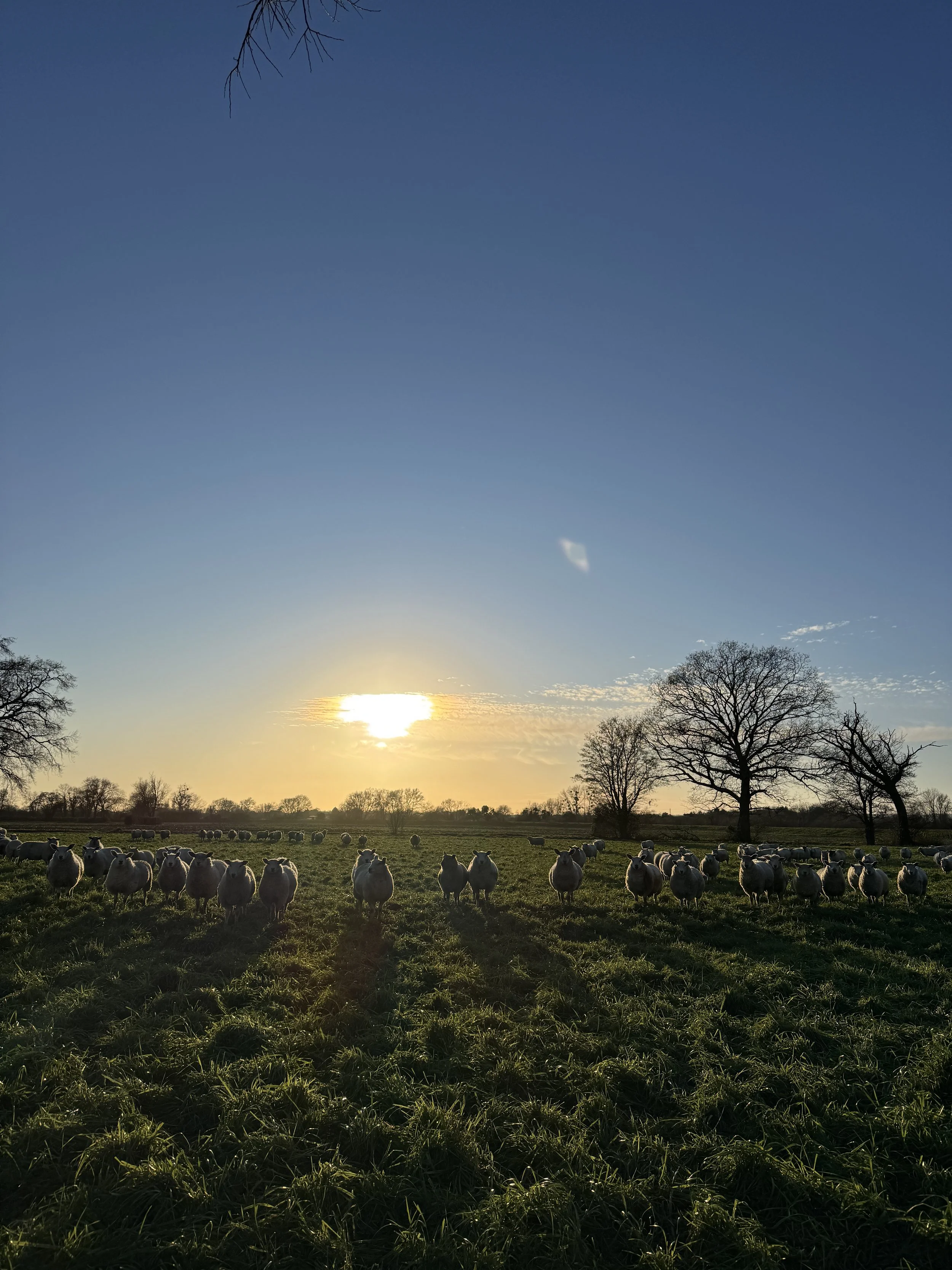 What Is Individuation (And Why No One Told You It Has To Come First)