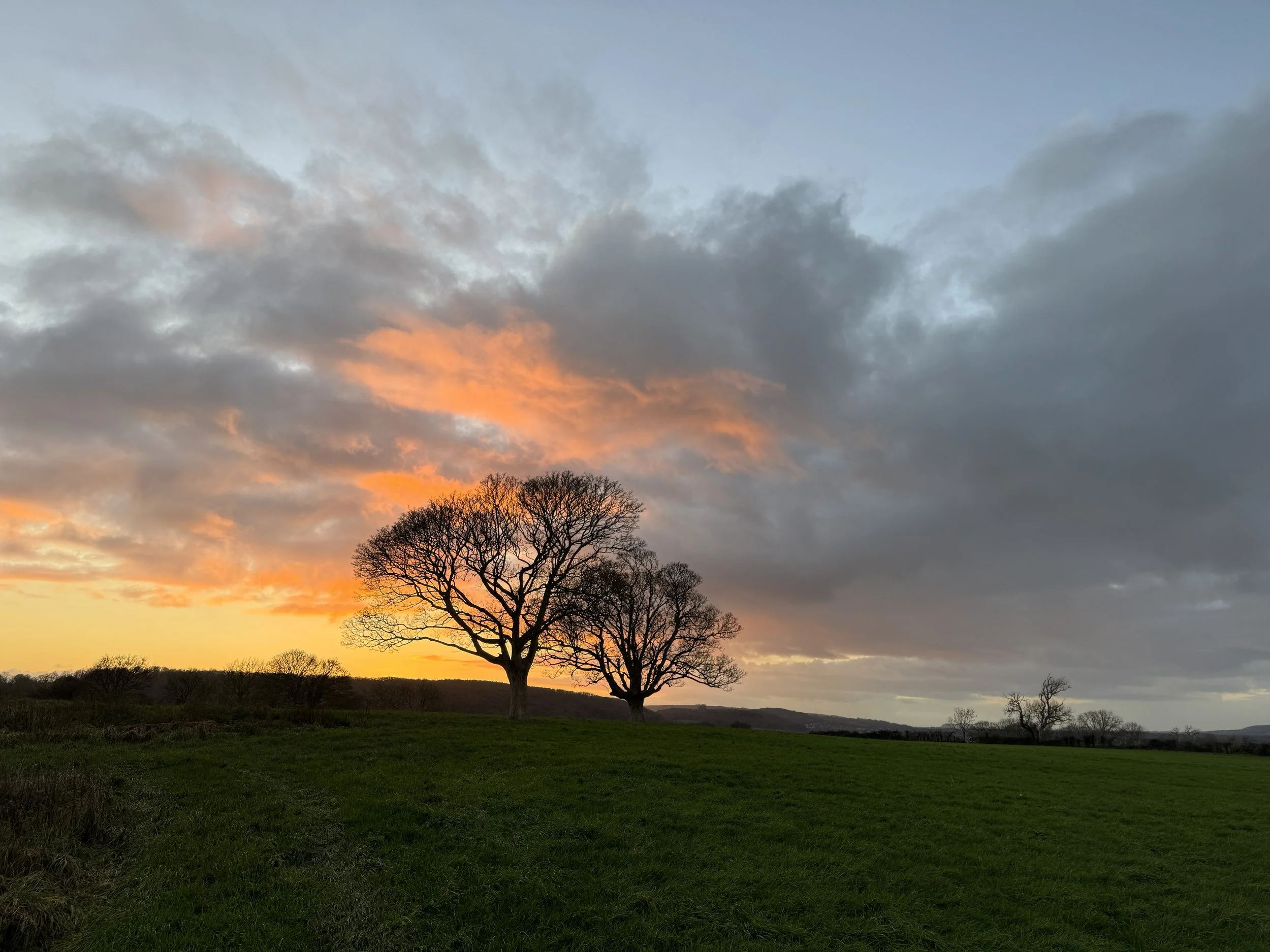 What Happens When Identity Changes Faster Than the Nervous System