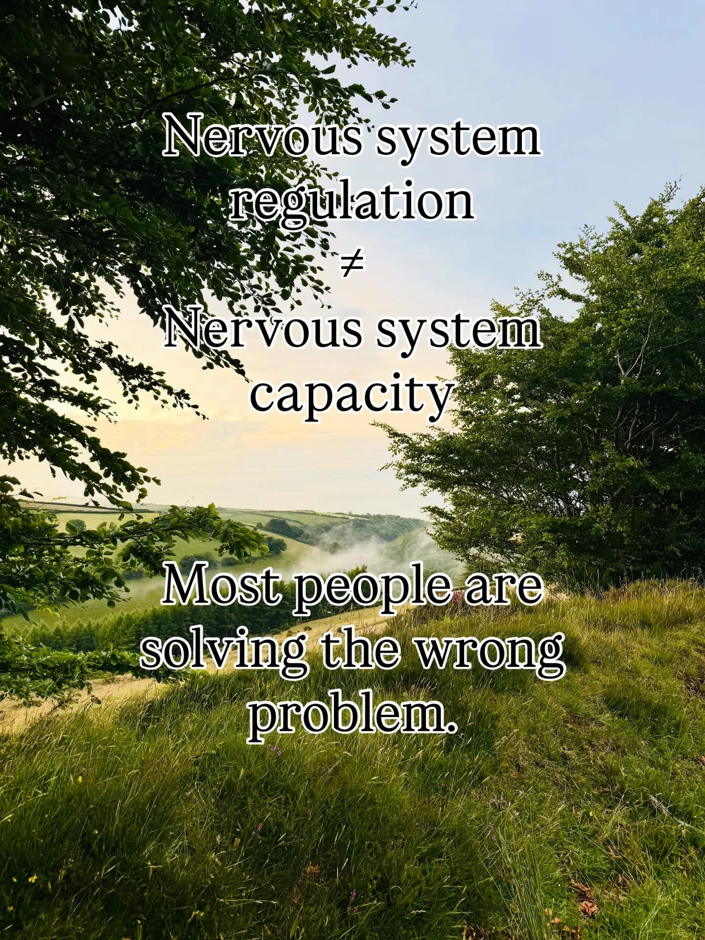 Most people think nervous system work is about calming down.

Breathing. Slowing. Regulating.

And yes - that matters.

But regulation alone doesn&rsquo;t increase how much responsibility, visibility, leadership, or success your system can safely hol