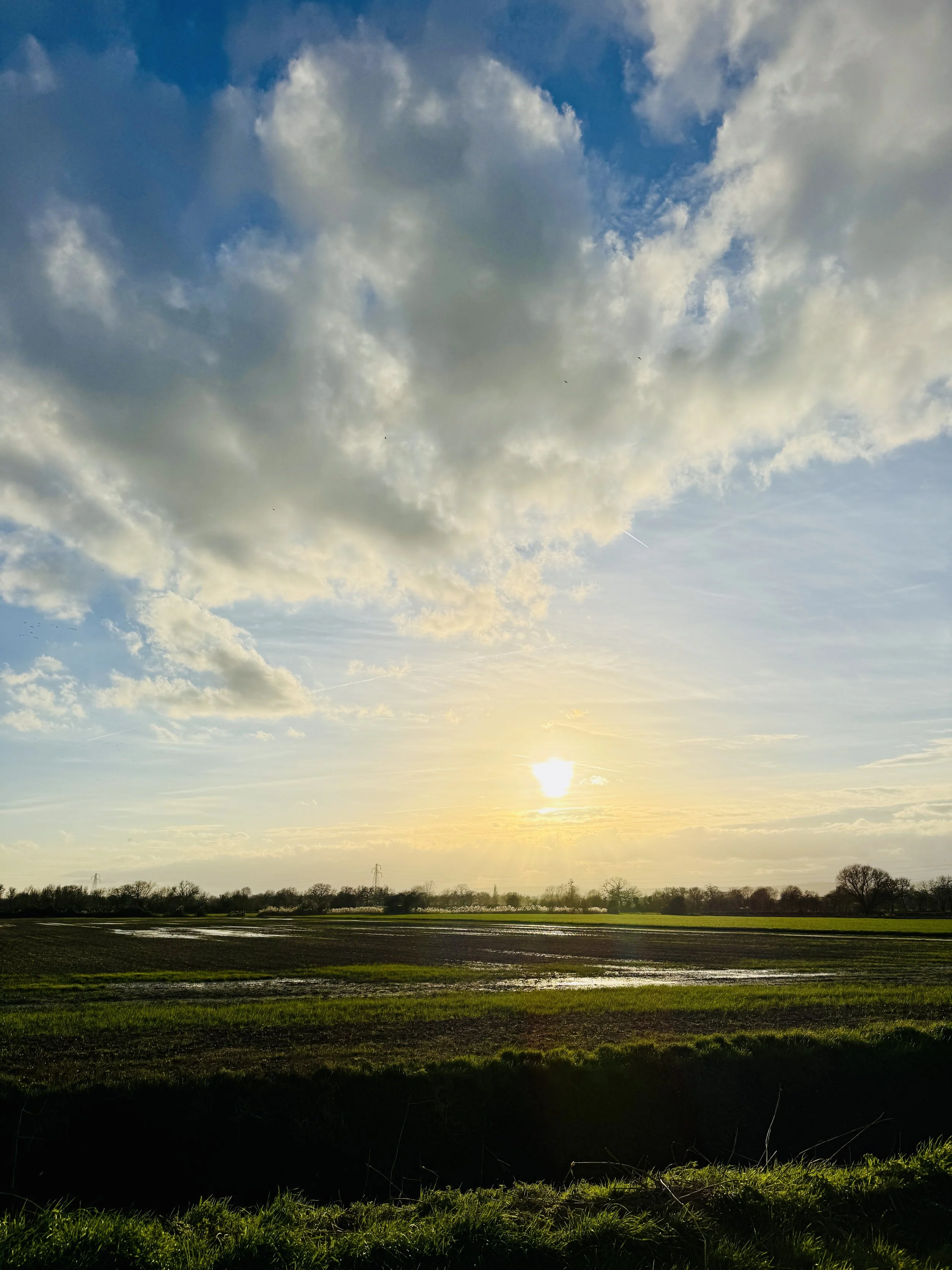 Why Sex Has Become a Substitute for Real Contact