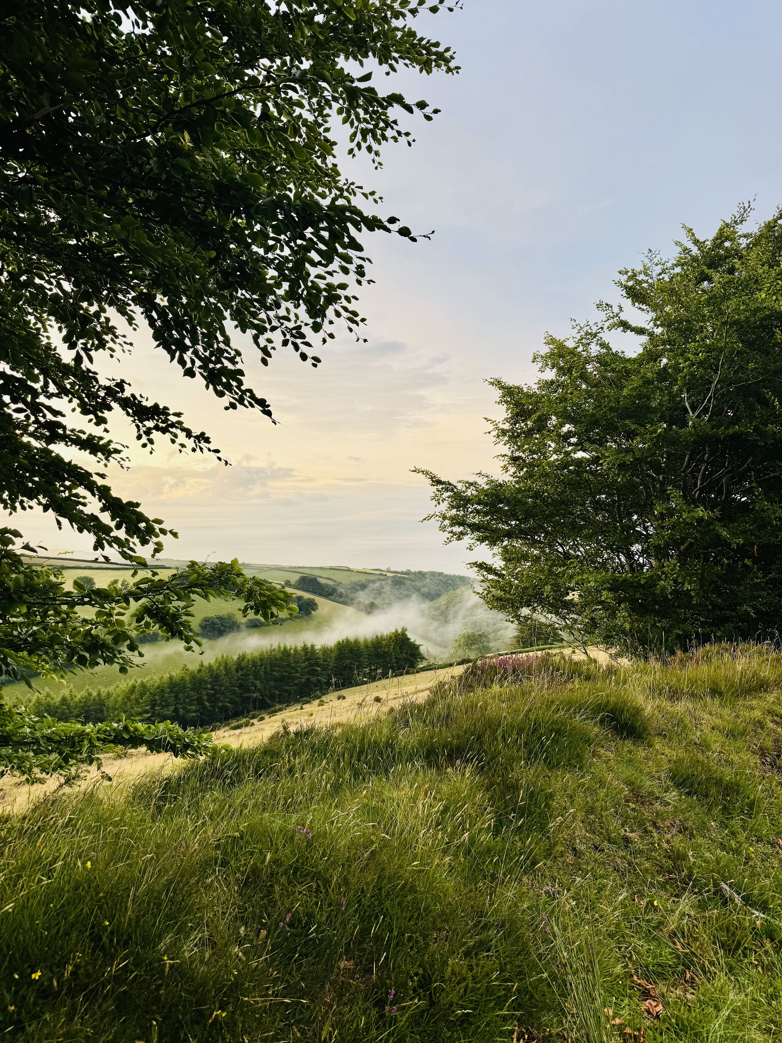 When the Fantasy Ends, the Truth Begins: He Couldn’t Meet Me in Reality