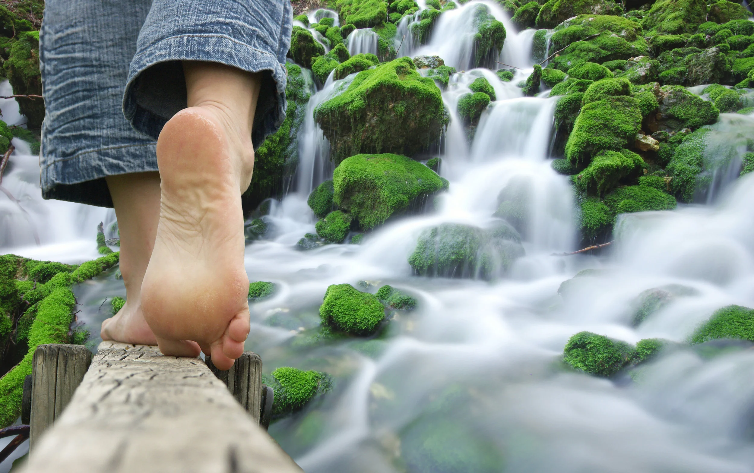 AdobeStock_114418539.jpeg