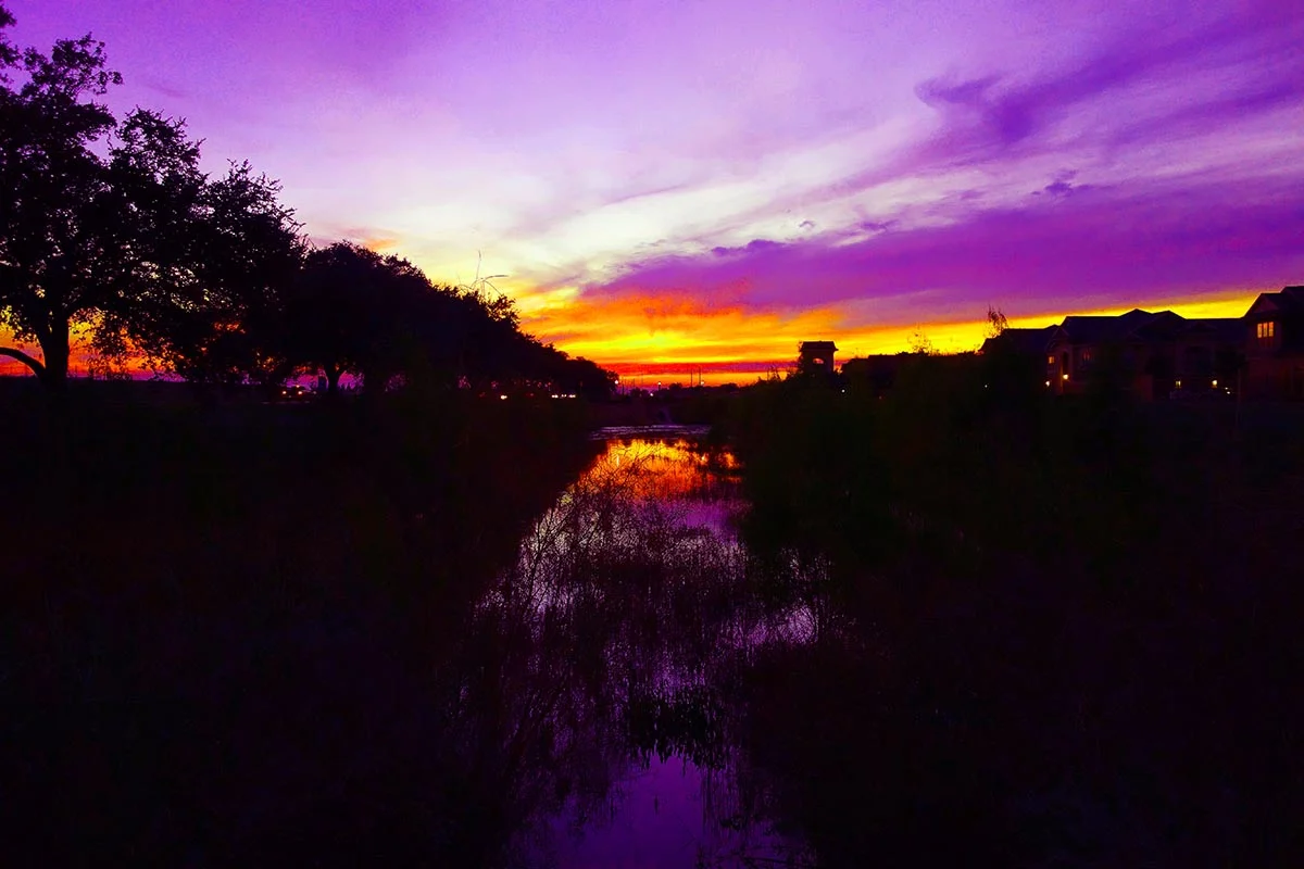 DSC06722final2web2 .jpg