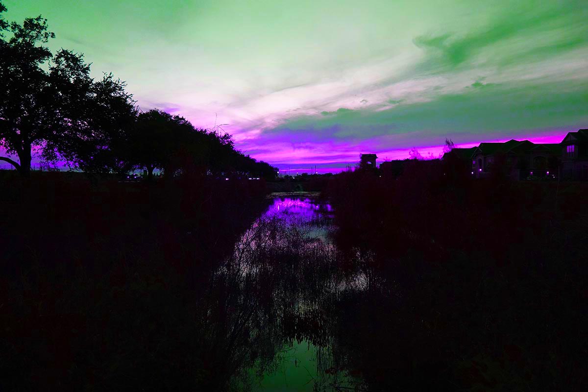 DSC06722final web(1).jpg