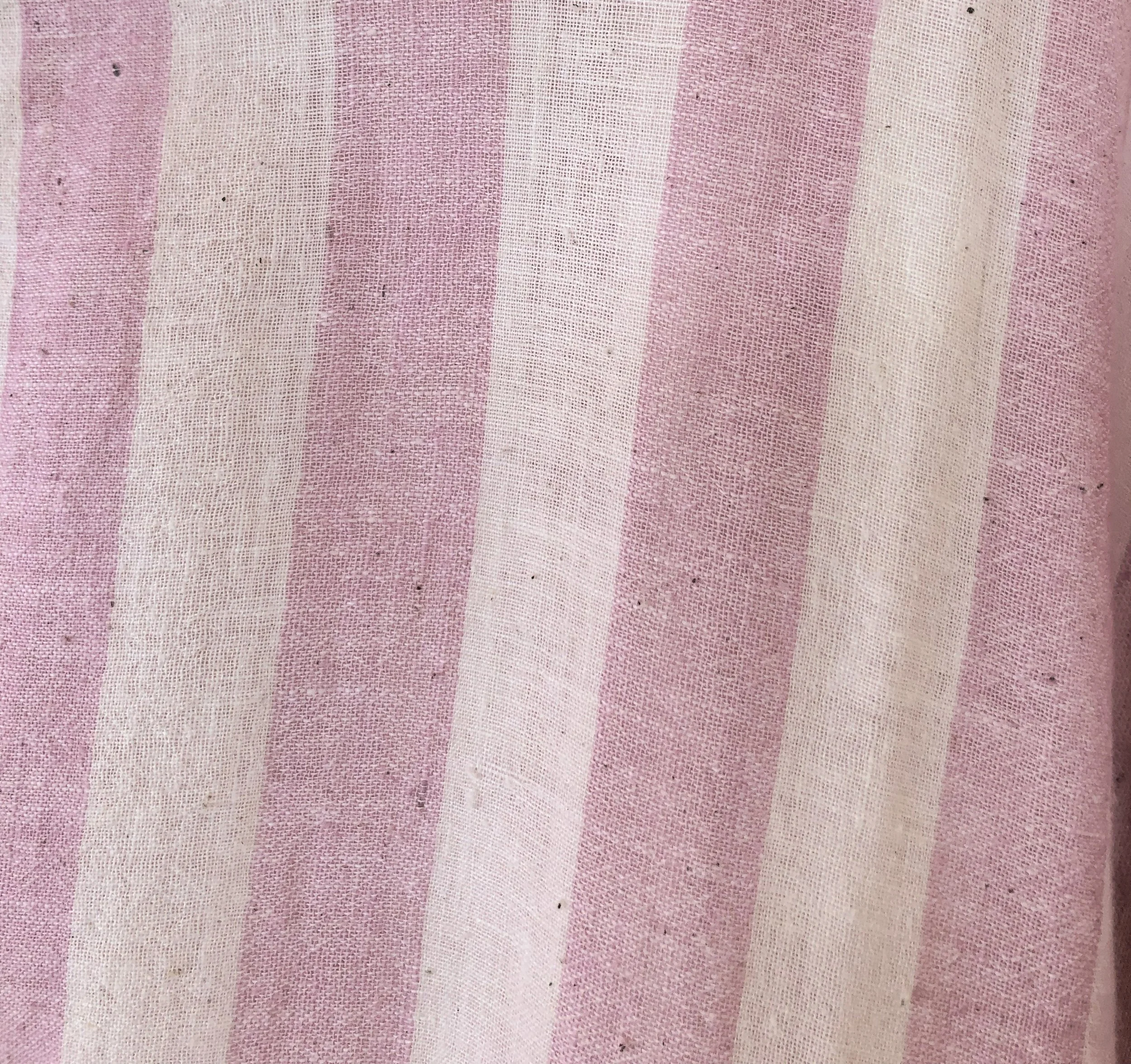 pinkstripewise_closeup.jpg