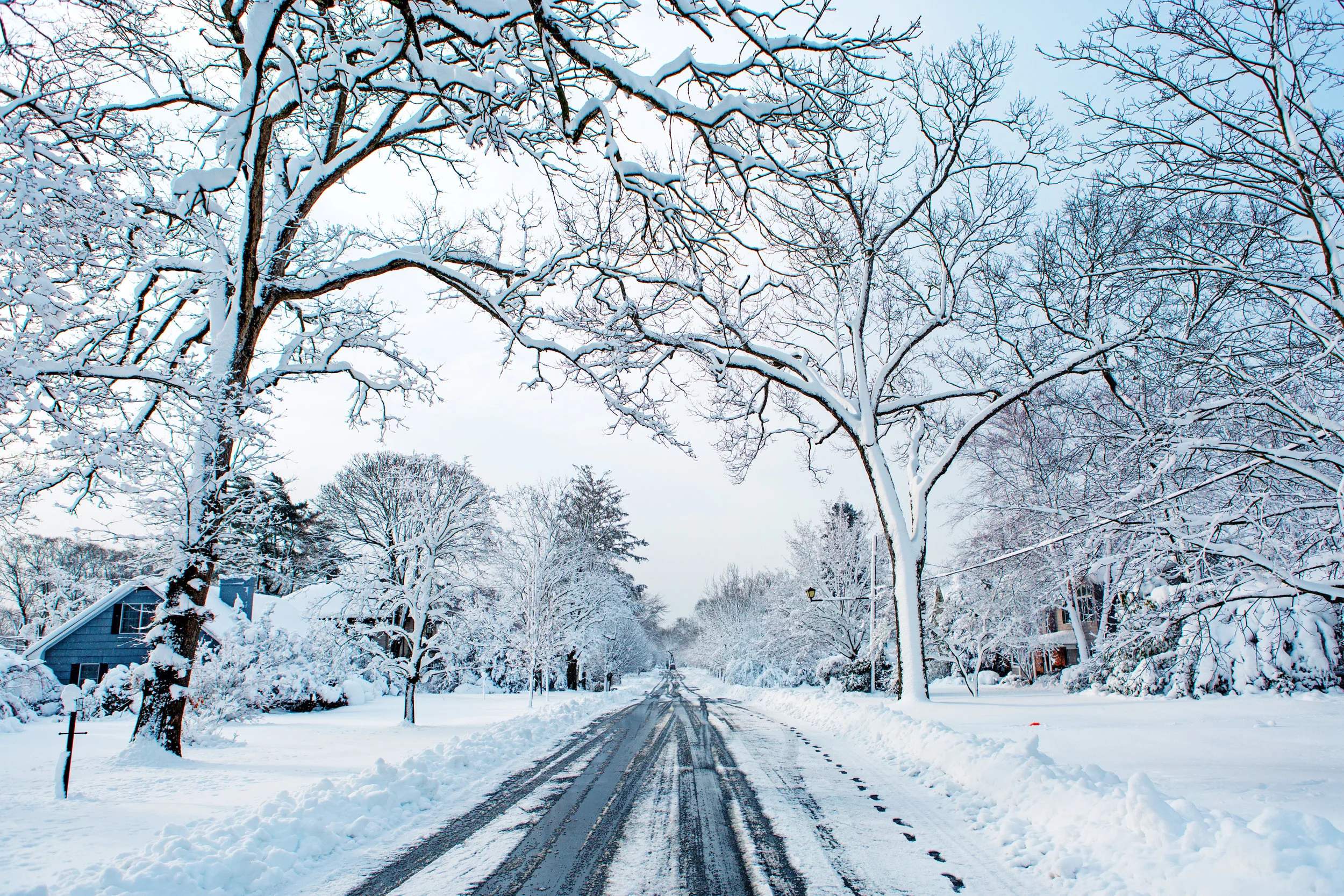 Last Throes of Winter