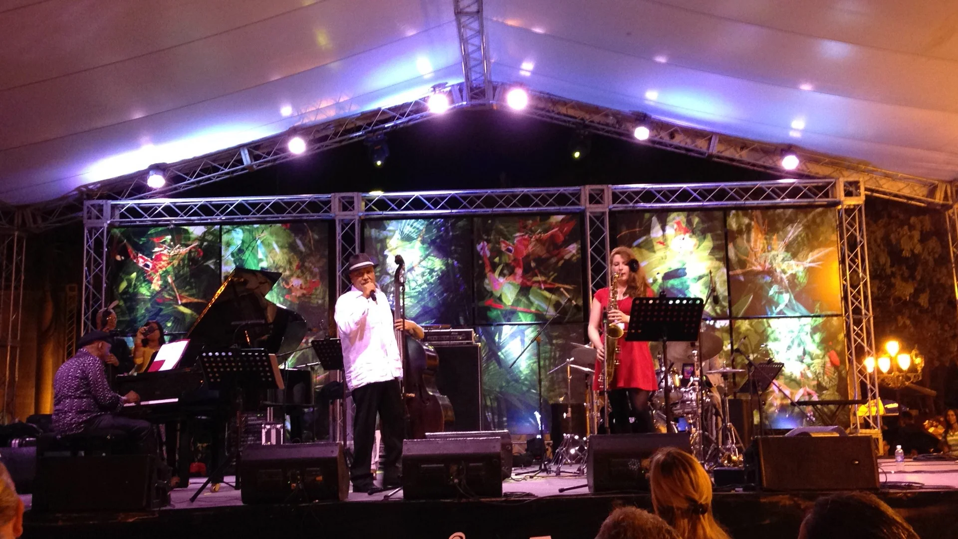 Sealy & Novotny w. Colin Hunter at Jazz in the Park