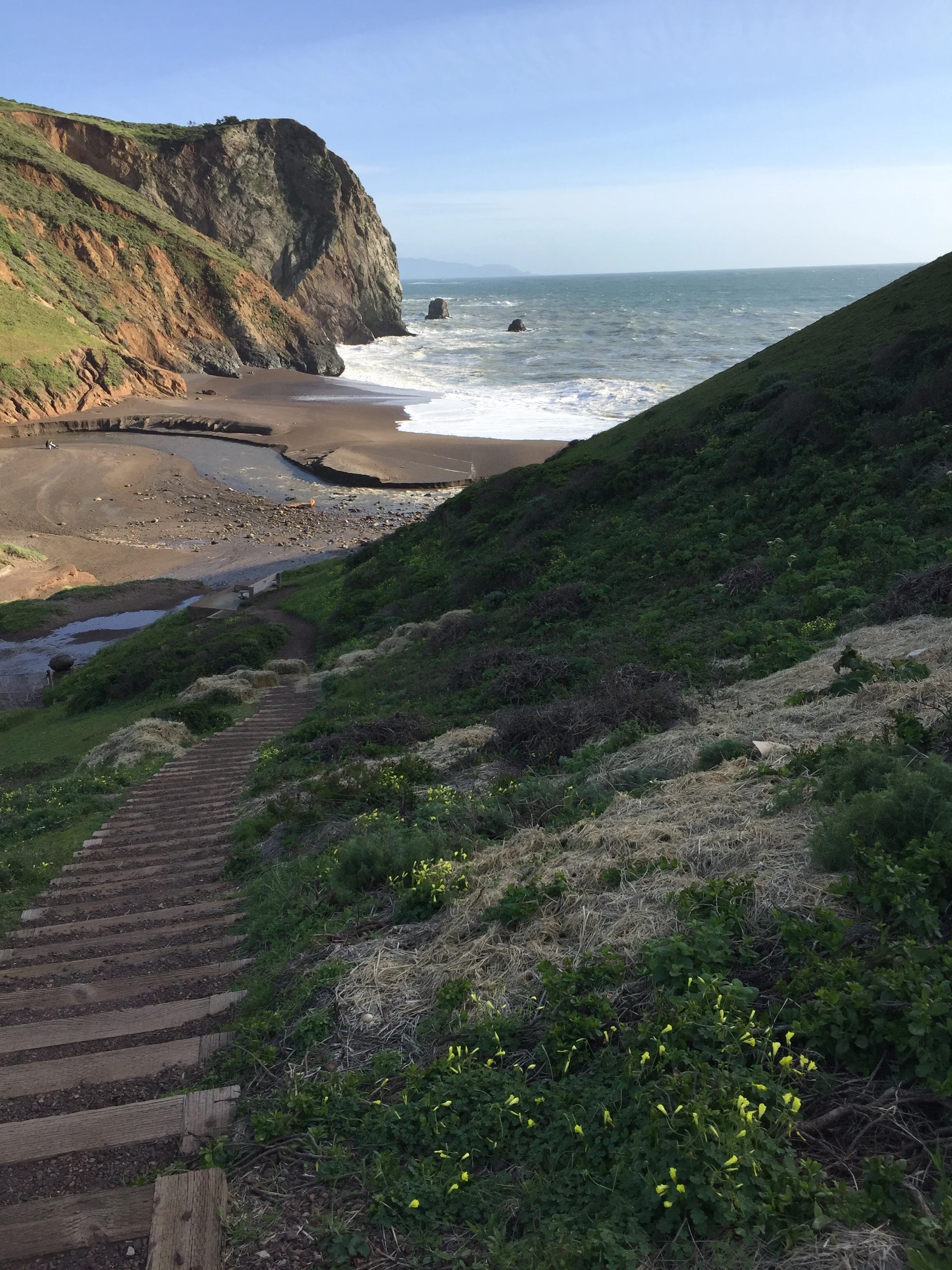 September Williams Author of Chasing Mercury at Tennessee Valley Cove
