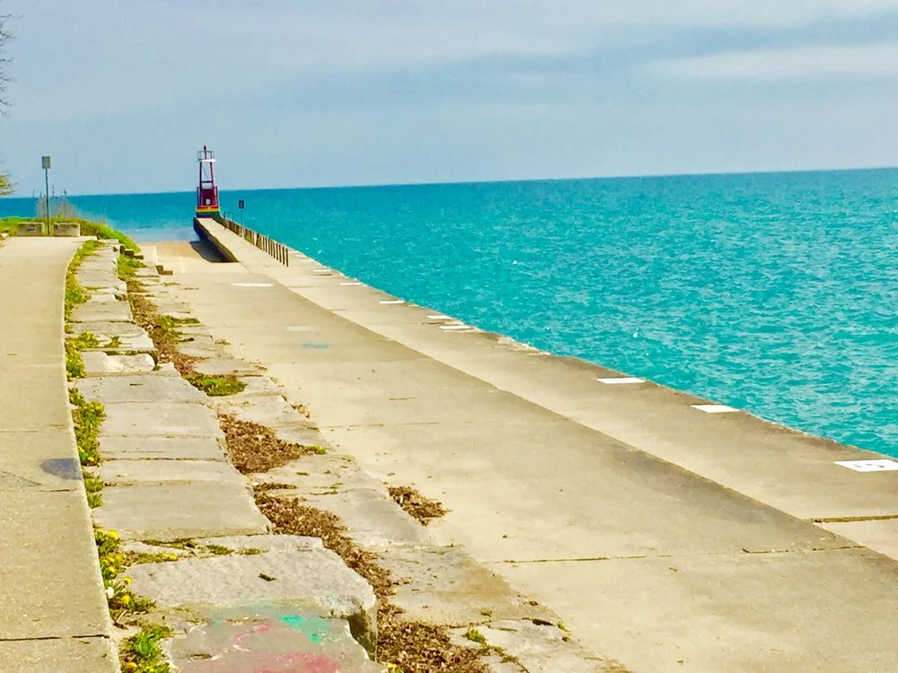 UPDATE: September Williams MD-Author’s Novel Chasing Mercury at Post/11/9 the New Now Exhibit 8PM 11/9 and 11/10/2017, Chicago